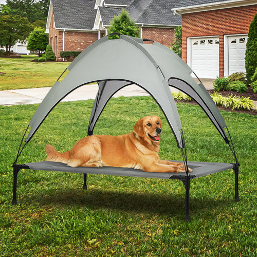 Tucker Murphy Pet™ Elevated Cooling Dog Pet Cot Breathable Mesh Raised Bed with Detachable